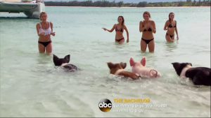 7 Things So Dumb They Were Great On ‘The Bachelor’ Last Night