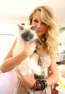 Taylor-Swift-s-cat-Indie-taylor-swift-24374647-348-500.jpg