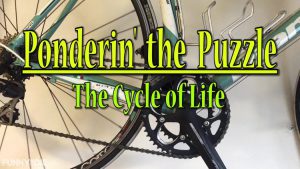 Ponderin’ the Puzzle – The Cycle of Life