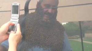 A Very Full Bee Beard
