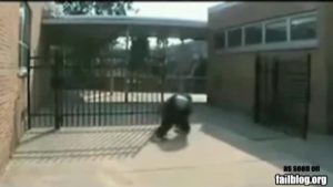 Gorilla Man FAIL