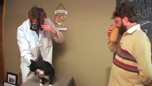 Cat Chiropractor Episode 1 with Zach Galifianakis