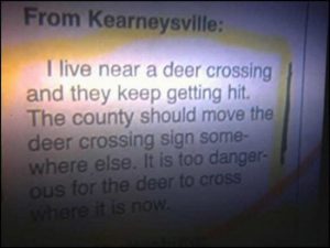 Deer Crossing Problem? Consider it Taken Care Of