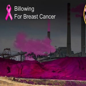 Other Terrible Breast Cancer Pinkwashing