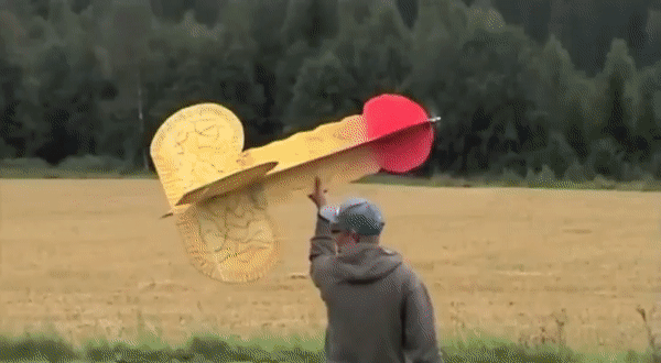 Funny Or Die — 21 Best GIFs Of All Time Of The Week #161 This