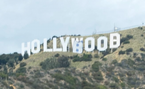 Huge Thanks To The People Who Changed The Hollywood To  ‘Hollyboob ‘