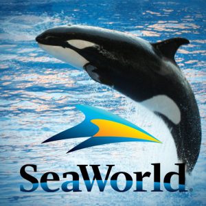 “That Sea World Critic Said The N-Word? Then Please Keep Torturing Me To Death,” By Tilikum The Orca