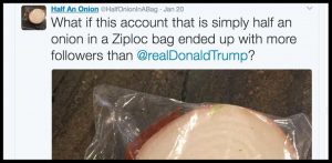 7 Reasons To Follow Half An Onion In A Ziploc Bag Instead Of Donald Trump On Twitter
