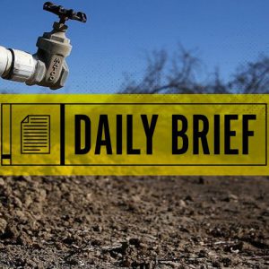The Daily Brief From Funny Or Die News