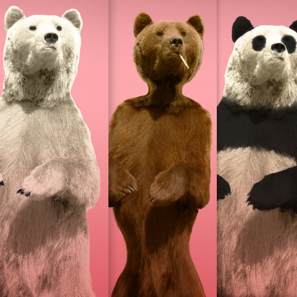 What The Ideal Bear Looks Like In 9 Or 10 Different Countries