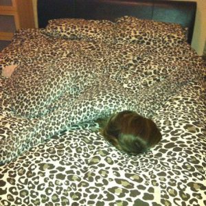 13 Instances of Everyday Camouflage